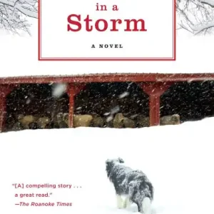 Warranty Included Rose in a Storm: A Novel