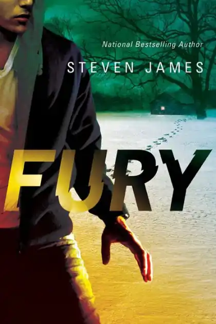 While Supplies Last Fury (Blur Trilogy #2)
