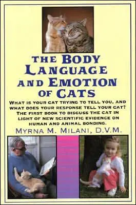 Final Sale Cats Body Language