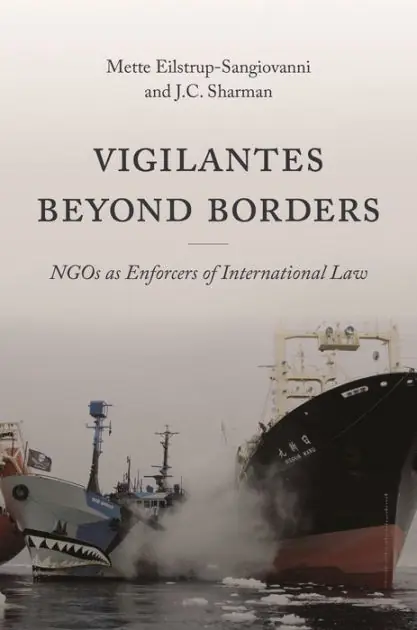 Vigilantes beyond Borders: NGOs as Enforcers of International Law Grab Now