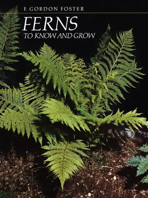 Ferns to Know and Grow Hot Deal