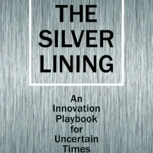Holiday Sale Silver Lining: Your Guide to Innovating in a Downturn