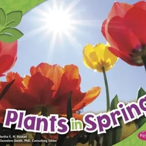 Super Sale Plants in Spring